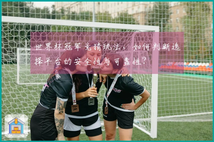 世界杯冠军竞猜玩法，如何判断选择平台的安全性与可靠性？