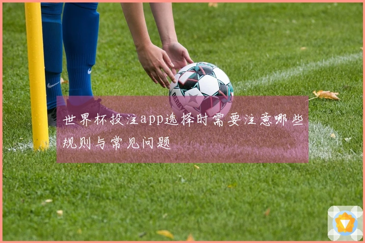 世界杯投注app选择时需要注意哪些规则与常见问题