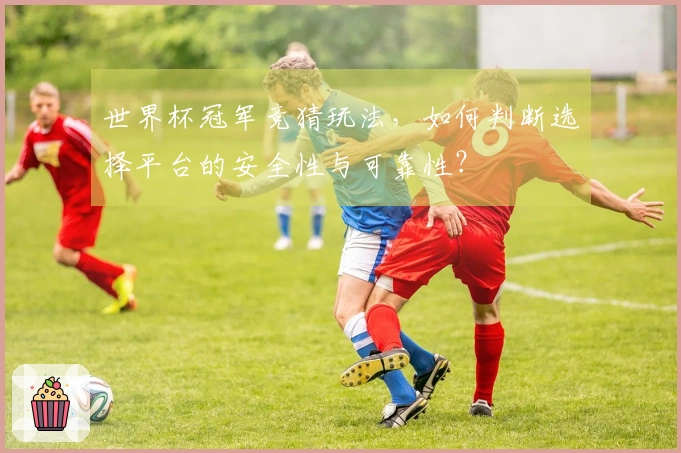 世界杯冠军竞猜玩法，如何判断选择平台的安全性与可靠性？