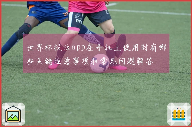 世界杯投注app在手机上使用时有哪些关键注意事项和常见问题解答