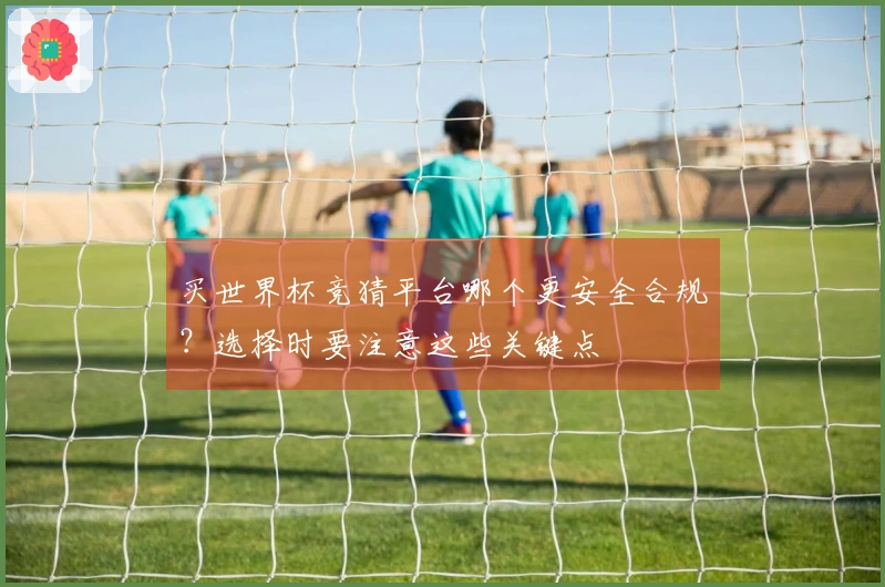 买世界杯竞猜平台哪个更安全合规？选择时要注意这些关键点